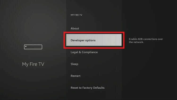 Choose Developer Options