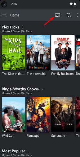 Click the Cast or AirPlay icon on Plex 