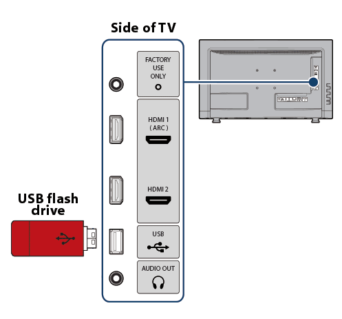 Connect the USB to the TCL TV